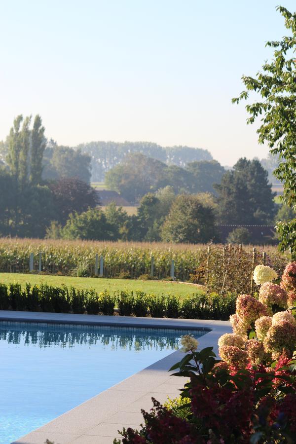 Bed and Breakfast Cafcauter Sint-Pieters-Kapelle  Экстерьер фото