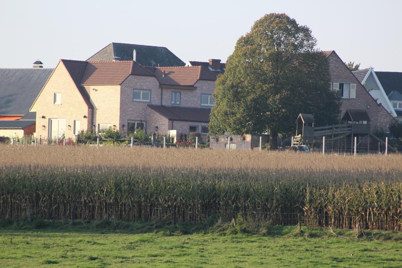 Bed and Breakfast Cafcauter Sint-Pieters-Kapelle  Экстерьер фото