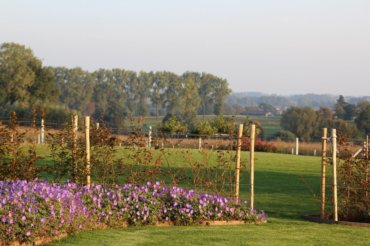 Bed and Breakfast Cafcauter Sint-Pieters-Kapelle  Экстерьер фото